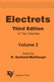 bokomslag Electrets 3rd Ed. Vol 2