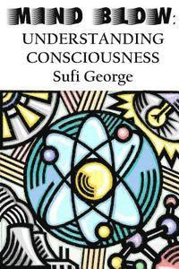 bokomslag Mind Blow: Understanding Consciousness