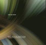 Endi Bogue Hartigan - One Sun Storm, Häftad