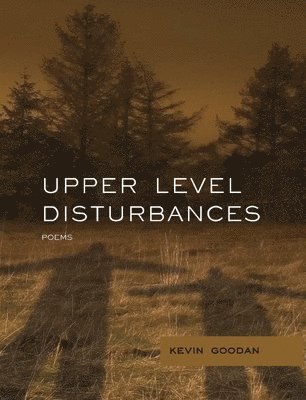 Upper Level Disturbances 1