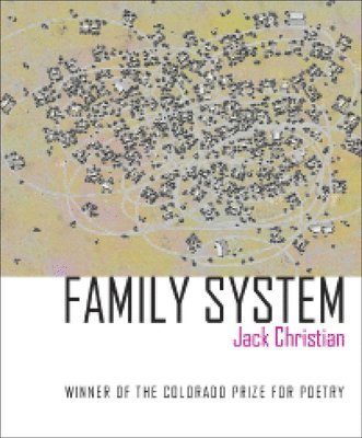 Family System 1