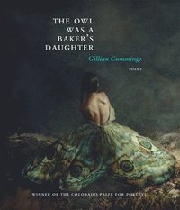 bokomslag The Owl Was a Baker's Daughter