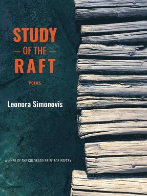 bokomslag Study of the Raft