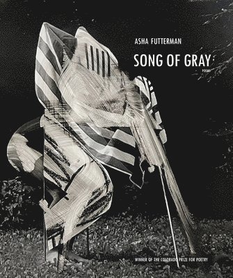 bokomslag Song of Gray