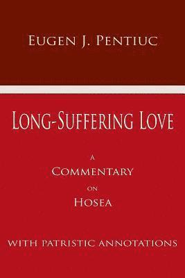 bokomslag Long-Suffering Love