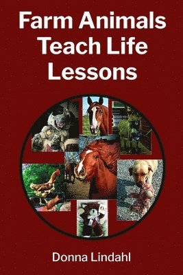 Farm Animals Teach Life Lessons