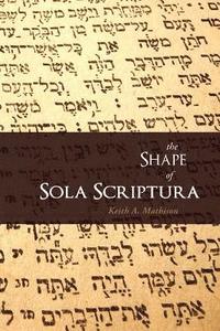 bokomslag Shape of Sola Scriptura