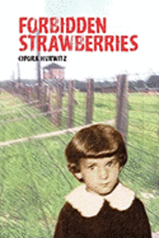 bokomslag Forbidden Strawberries