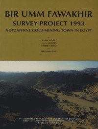 bokomslag Bir Umm Fawakhir Survey Project 1993