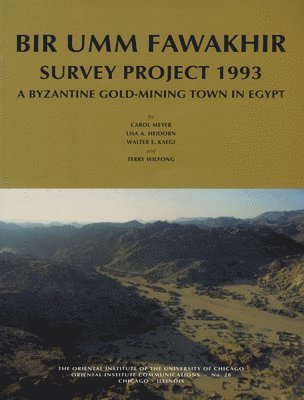 bokomslag Bir Umm Fawakhir Survey Project 1993