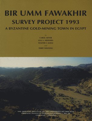 bokomslag Bir Umm Fawakhir Survey Project 1993