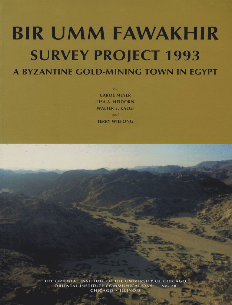 Lisa A. Heidorn, W. E. Kaegi, Carol Meyer, Terry G. Wilfong - Bir Umm Fawakhir Survey Project 1993, Häftad