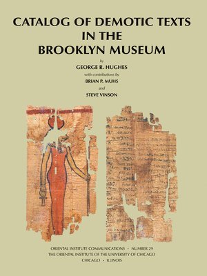 bokomslag Catalog of Demotic Texts in the Brooklyn Museum