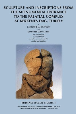 bokomslag Kerkenes Special Studies 1