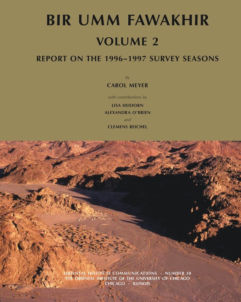 Lisa Heidorn, Lisa A. Heidorn, Carol Meyer, Alexandra A. O'Brien, Clemens Reichel, Clemens D. Reichel - Bir Umm Fawakhir, Volume 2, Häftad