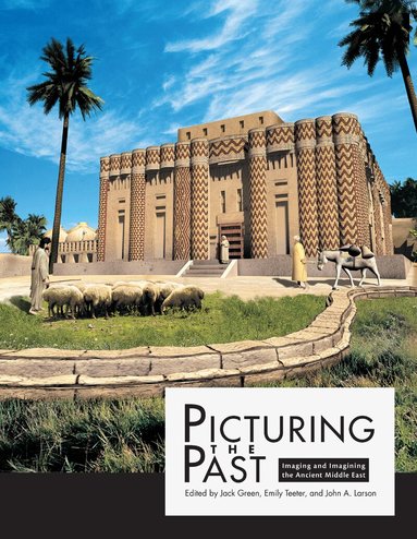 Jack Green, John A. Larson, Emily Teeter - Picturing the Past, Häftad