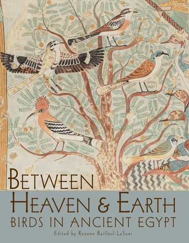 Rozenn Bailleul-LeSuer - Between Heaven and Earth, Häftad