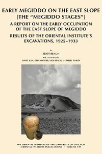 bokomslag Early Megiddo on the East Slope (The 'Megiddo Stages')