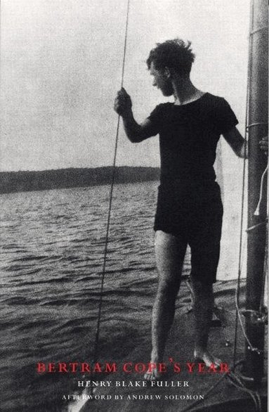 Henry Blake Fuller - Bertram Cope's Year, Häftad