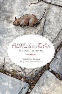 bokomslag Odd Birds & Fat Cats (An Urban Bestiary)