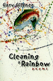 bokomslag Cleaning A Rainbow