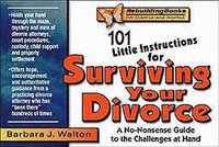 bokomslag 101 Little Instructions for Surviving Your Divorce