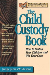 bokomslag The Child Custody Book