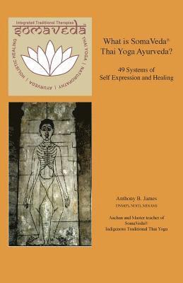 bokomslag What is SomaVeda(R) Thai Yoga: 49 Systems of Self Expression and Healing