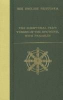 bokomslag Scriptural Text