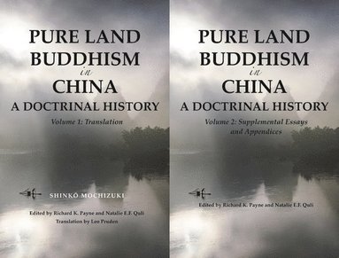 bokomslag Pure Land Buddhism in China