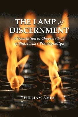 bokomslag The Lamp of Discernment