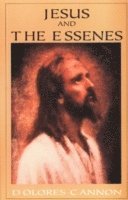 bokomslag Jesus and the Essenes