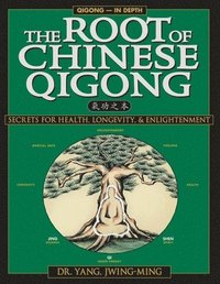 bokomslag The Root of Chinese Qigong