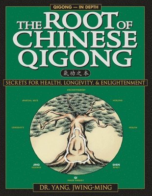 bokomslag The Root of Chinese Qigong