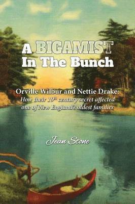 Jean Stone - Bigamist in the Bunch, Häftad