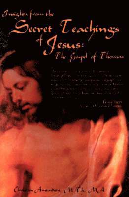 Christian D Amundsen, 1stworld Library - Insights from the Secret Teachings of Jesus, Häftad