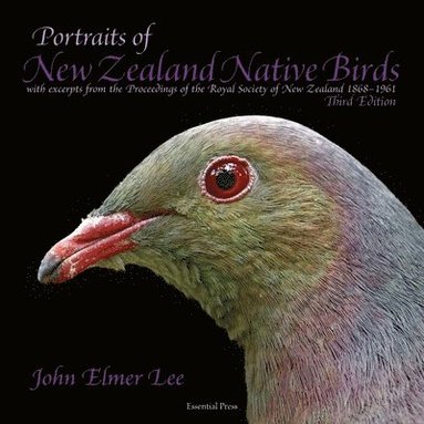 bokomslag Portraits of New Zealand Native Birds