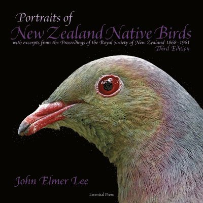 Portraits of New Zealand Native Birds 1