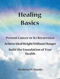 bokomslag Healing Basics