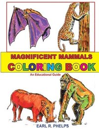 bokomslag Magnificent Mammals Coloring Book