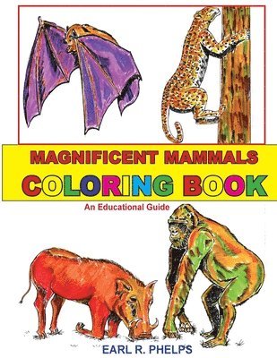 Magnificent Mammals Coloring Book 1