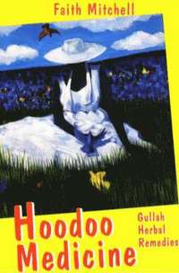 bokomslag Hoodoo Medicine: Gullah Herbal Remedies