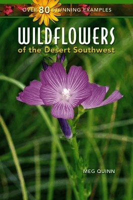 Meg Quinn - Wildflowers of the Desert Southwest, Häftad