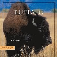 Win Blevins - Buffalo, Inbunden