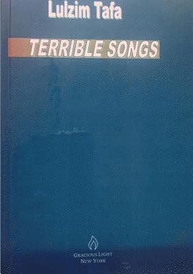bokomslag Terrible Songs