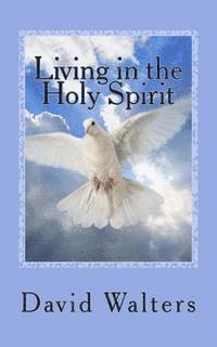 bokomslag Living in the Holy Spirit: You have the Holy Spirit! Does the Holy Spirit have you?