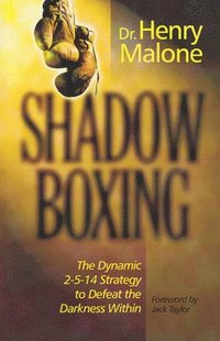 bokomslag Shadow Boxing