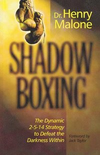 bokomslag Shadow Boxing: The Dynamic 2-5-14 Strategy to Defeat the Darkness Within