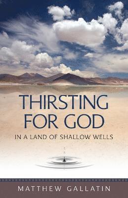 Matthew Gallatin - Thirsting for God in a Land of Shallow Wells, Häftad