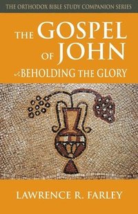 bokomslag Gospel of John